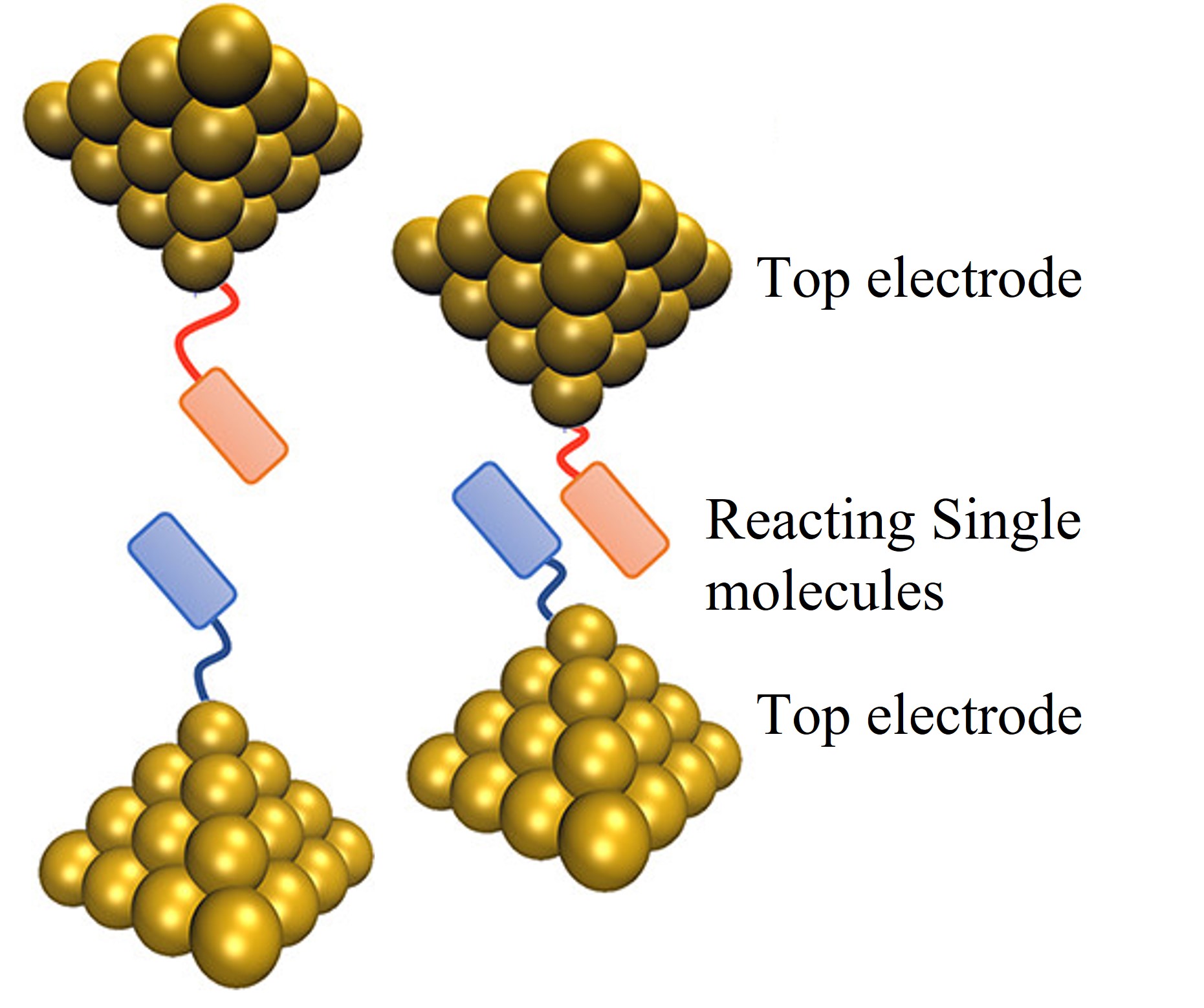Reaction dynamics